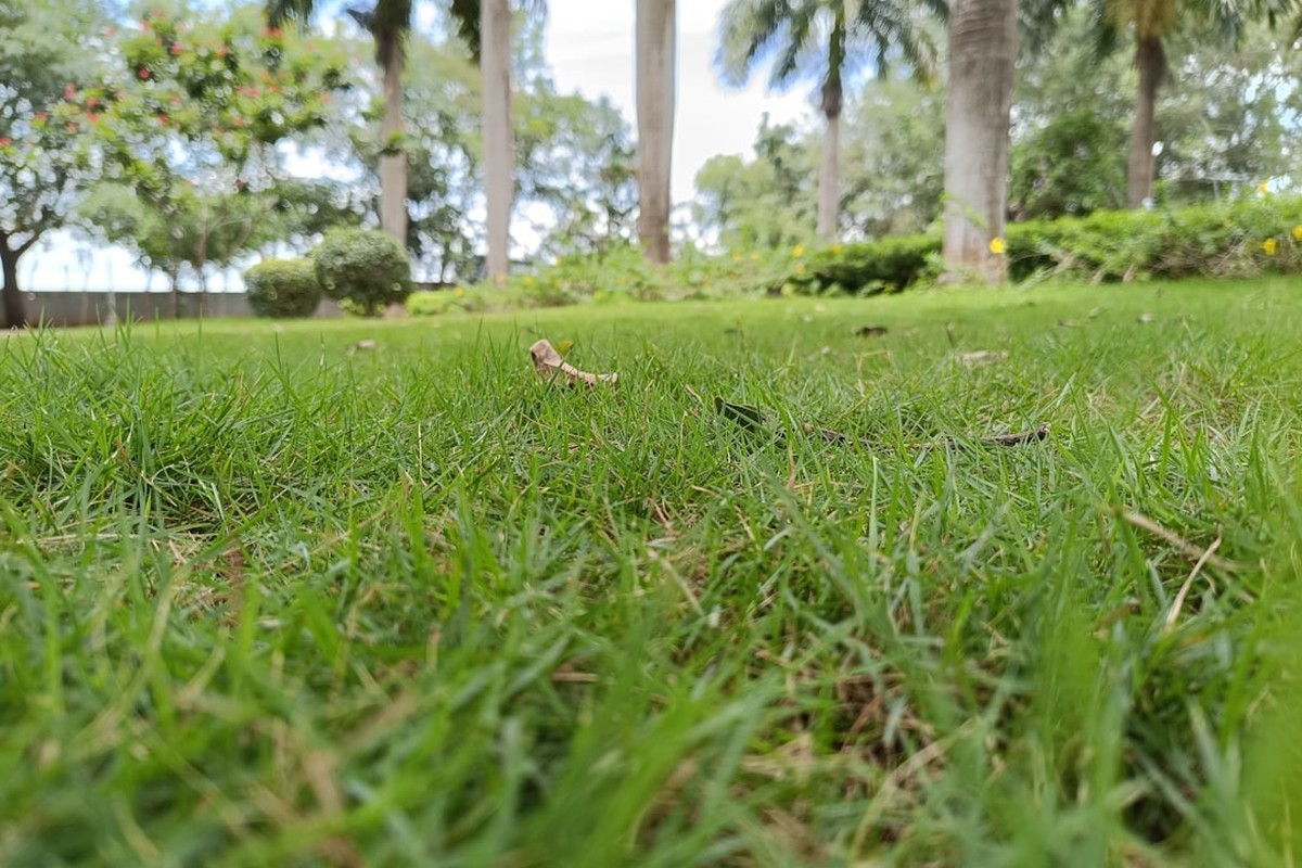 Außenanlagenpflege – Bild 3