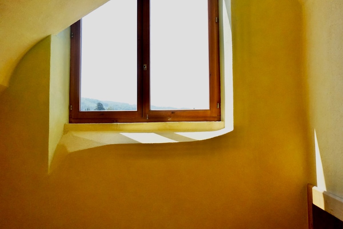 Fenster- & Glasreinigung