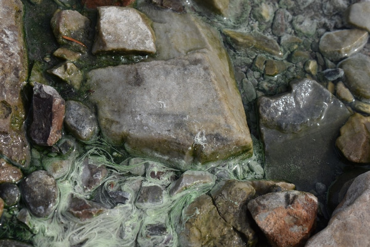 Imprägnierungen (Fassade, Pflaster, Holz) – Bild 2