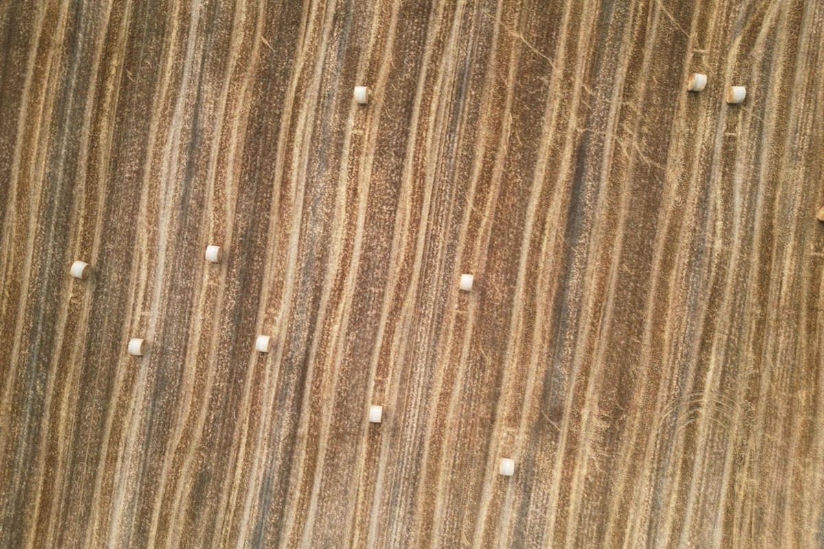 Teppich- & Polsterreinigung – Bild 2